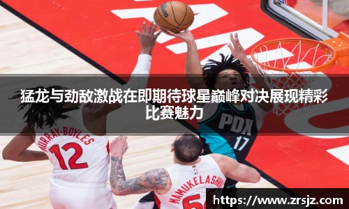 Lewin乐玩官网
